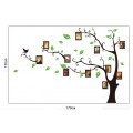 Photo Frame Tree Wall Sticker